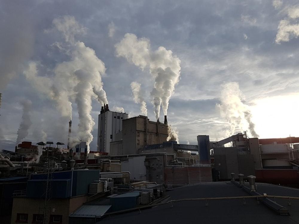 Oms Europa: "Quattro settori dell'industria causano 2,7 milioni di morti l'anno"